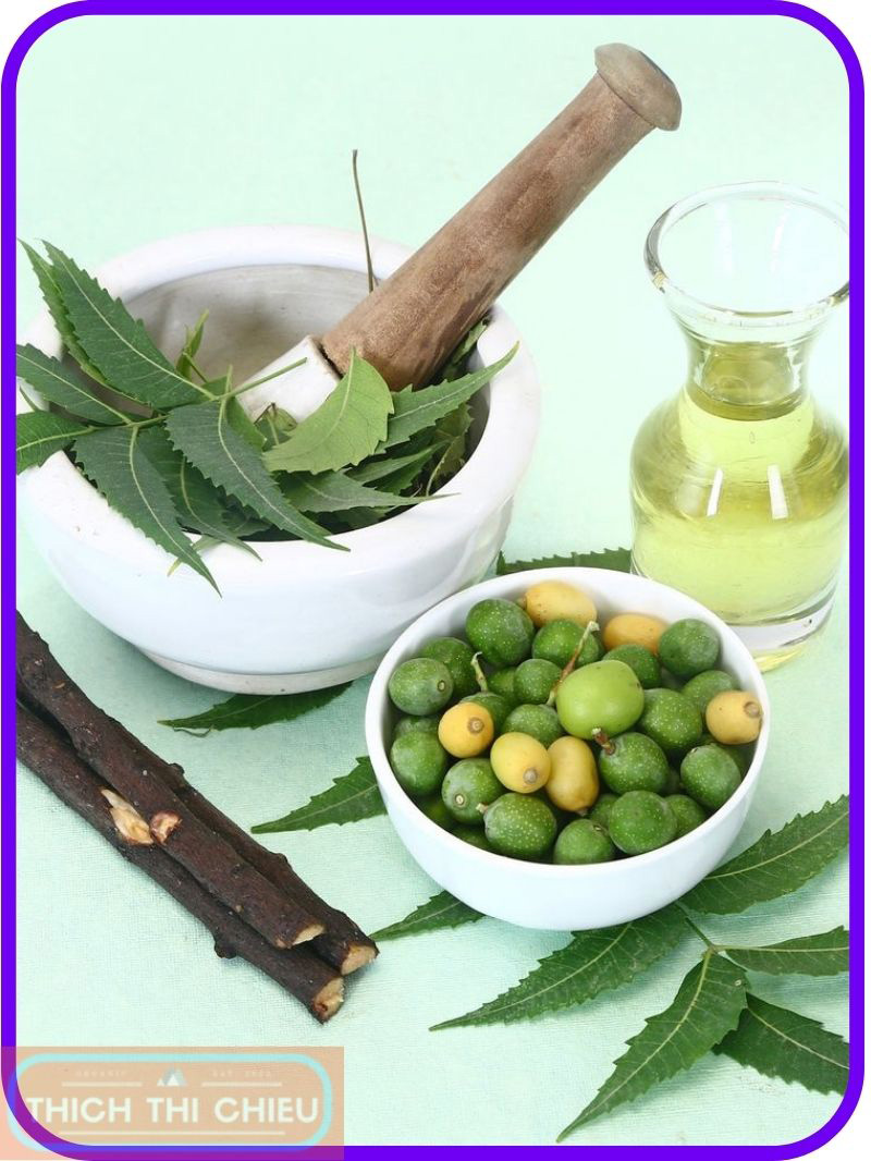 How to Use Neem Oil to Treat Dandruff - Thich Thi Chieu