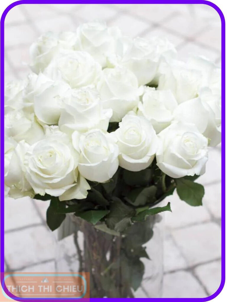 Beautiful White Rose Varieties: Discover the 10 Most Popular and ...