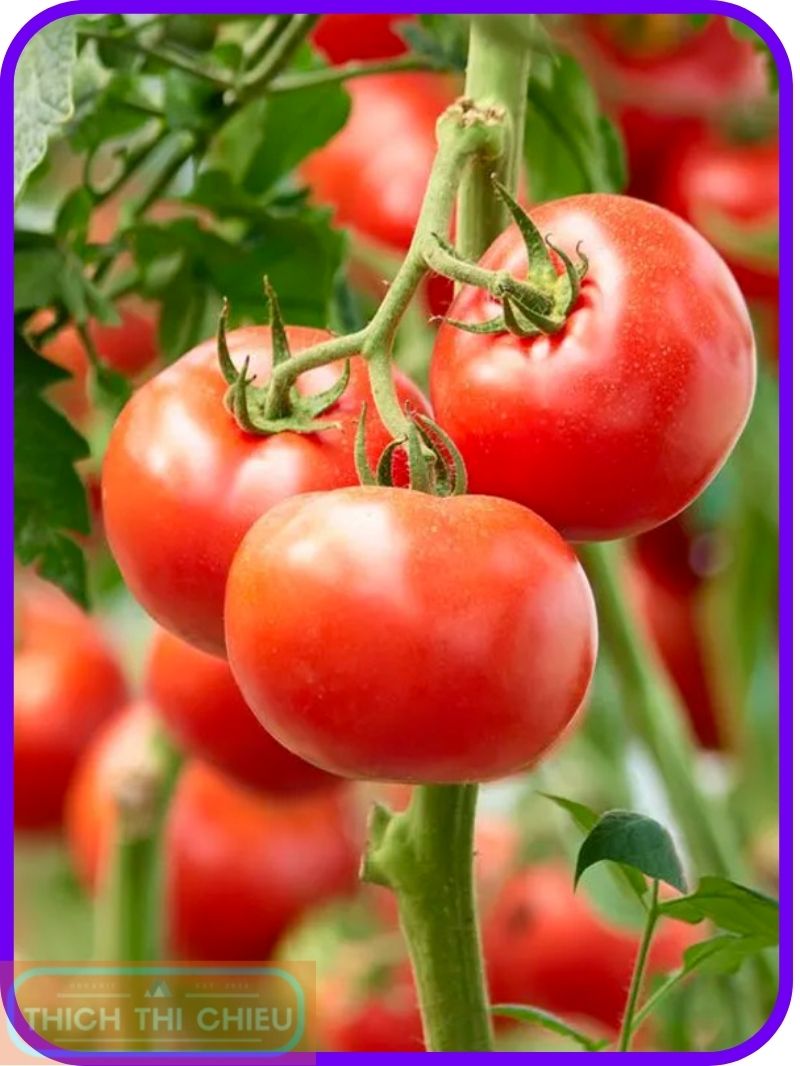 Tomatoes for dark spots on buttocks