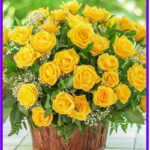 Yellow roses for birthdays