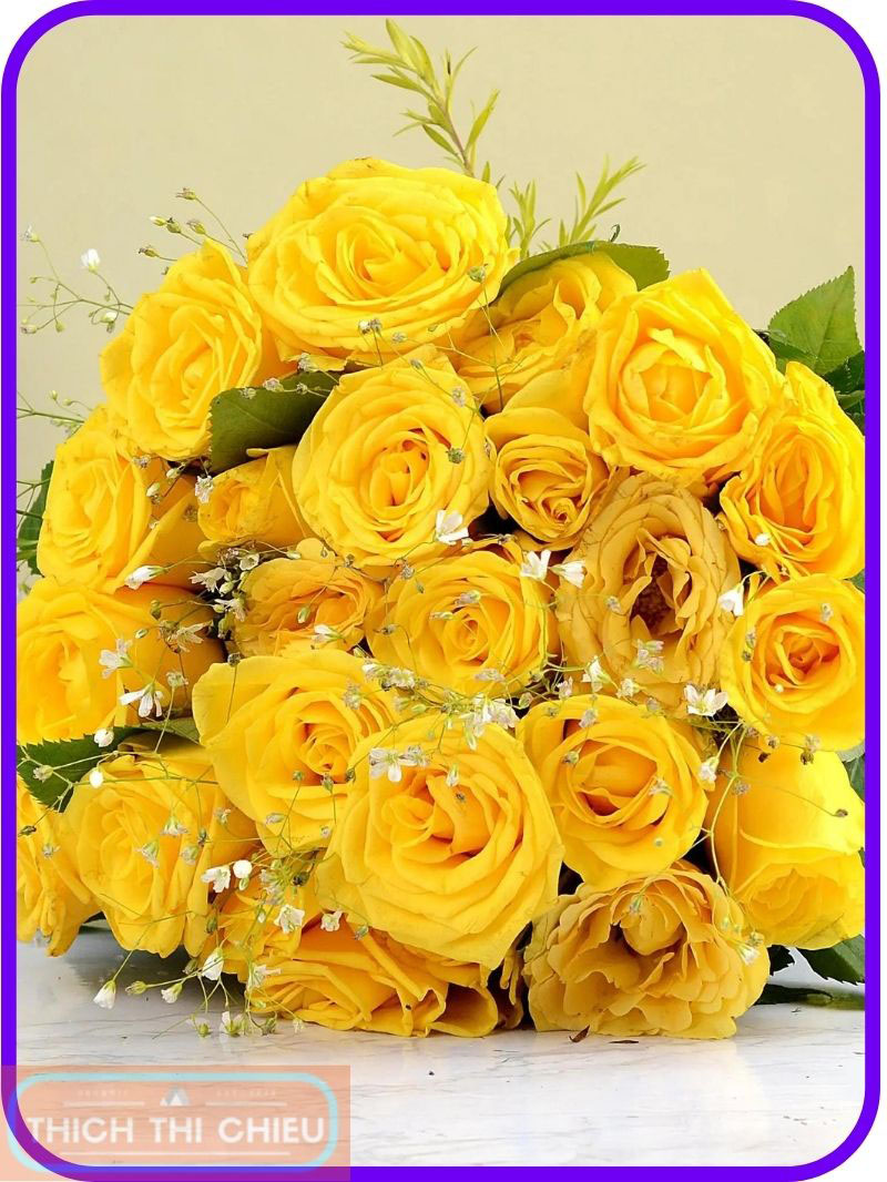 Yellow roses for Valentine's Day