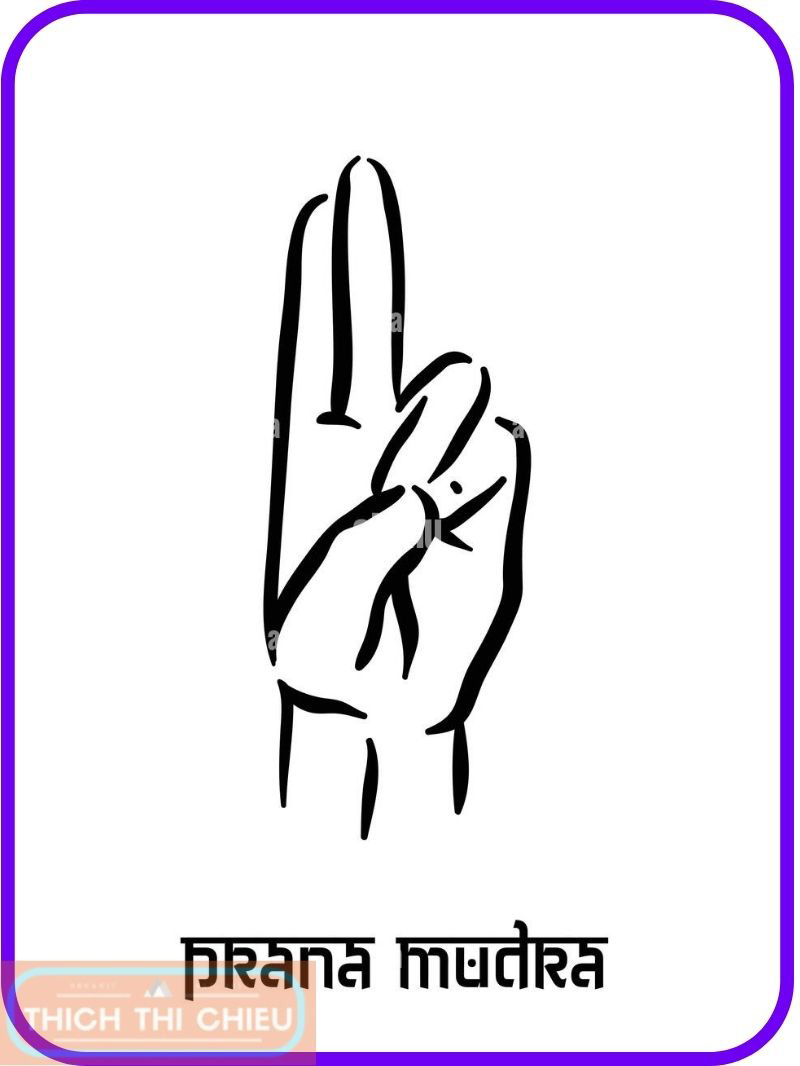 Yoga Mudras: A Simple Yet Effective Way to Improve Heart Health - Thich ...